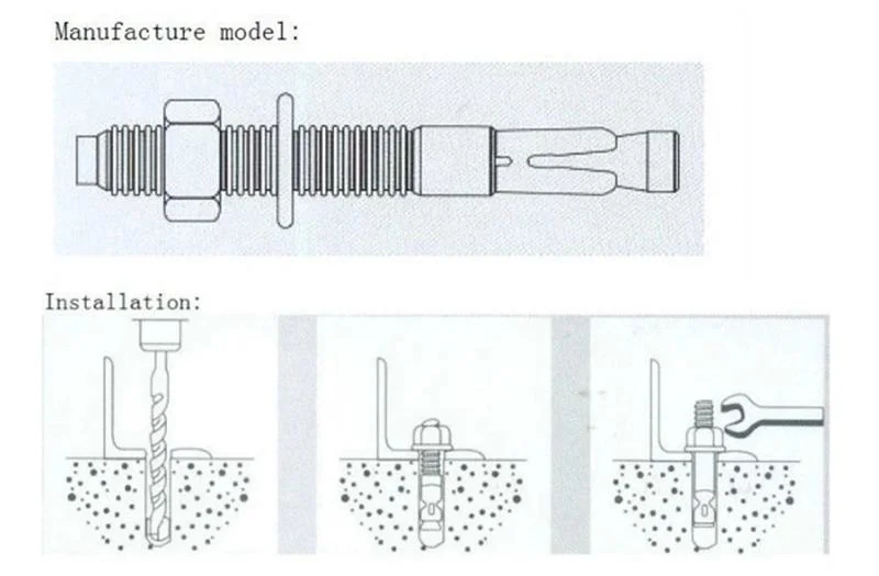 China Factory Wedge Anchor/ Through Bolt/ Expansion Bolt/ Anchor Bolt/ Tam Anchor/ Fish Shell Bolt/ Sleeve Bolt/ Sleeve Anchor