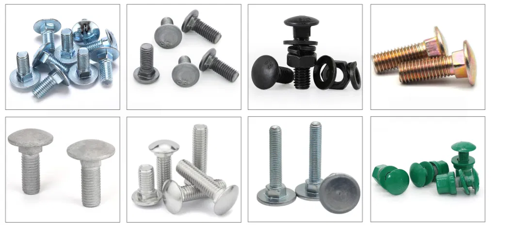 Carriage Bolt Mushroom Round Short Square Neck Head Bolt Coach Bolt Hex Bolt T Bolt U Bolt Toggle Bolt Anchor Bolt Screw Bolt Railway Bolts Lag Bolt in Stock